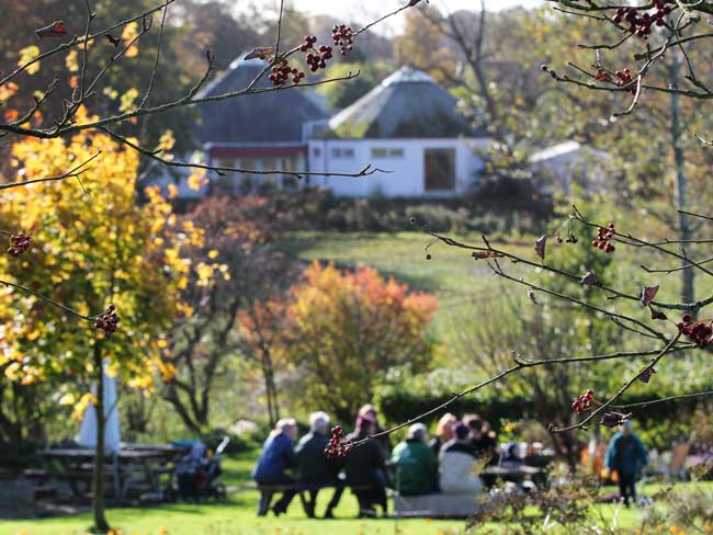 Jukas Killemoses betydning for alle på Tigerens Rede.