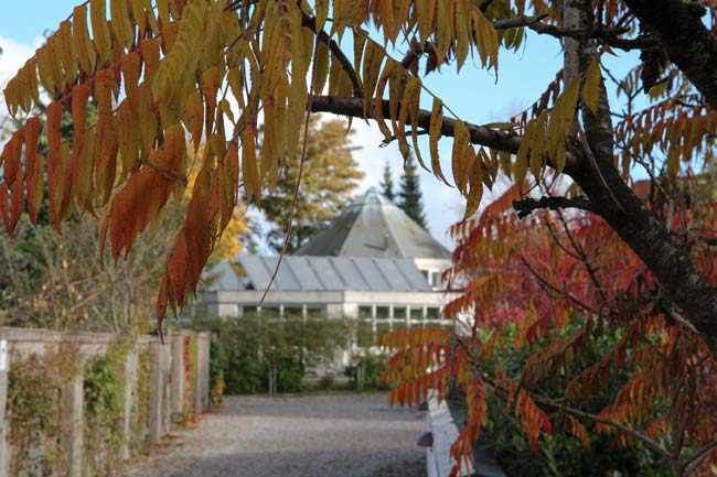Læs om Tigerens Rede og Jukas historie på centret.